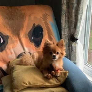 Meet your Posher, Lynn